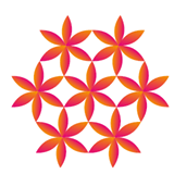 13882466_700003893464640_830527819601274385_n