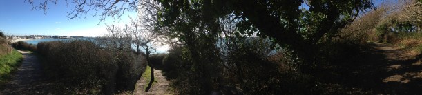 chemin pleine conscience.jpg