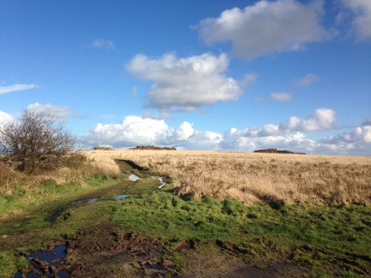 mont d'arree mindful eating meditation.jpg
