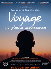 voyage en pleine conscience
