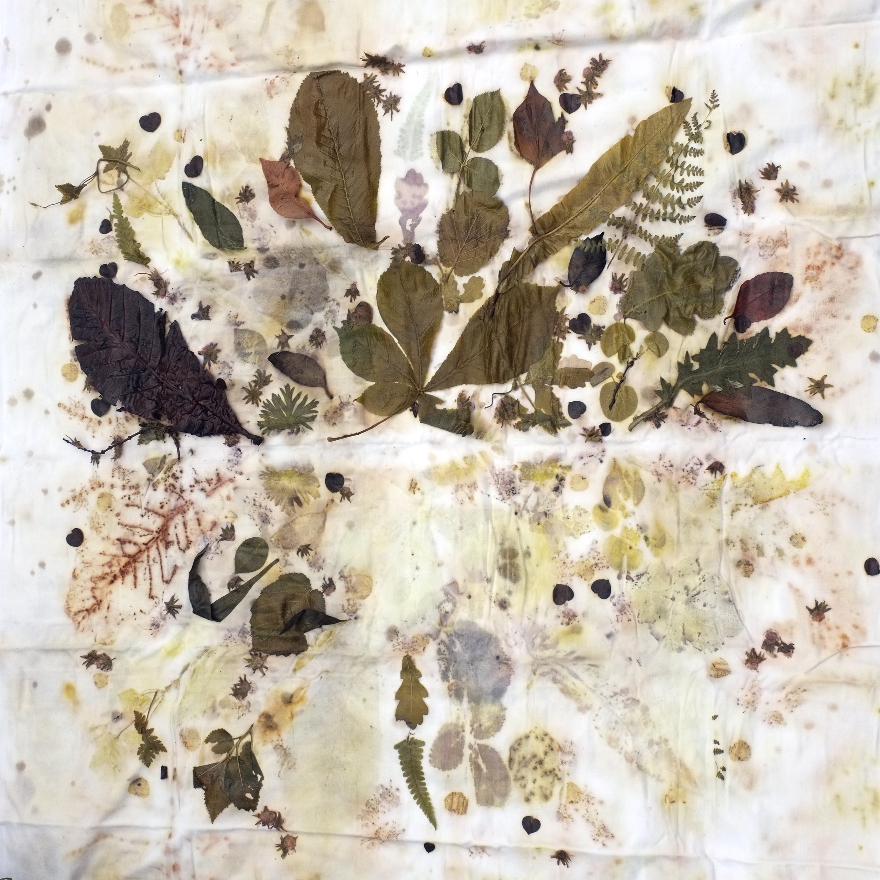 eco print meditation