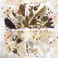 eco print meditation