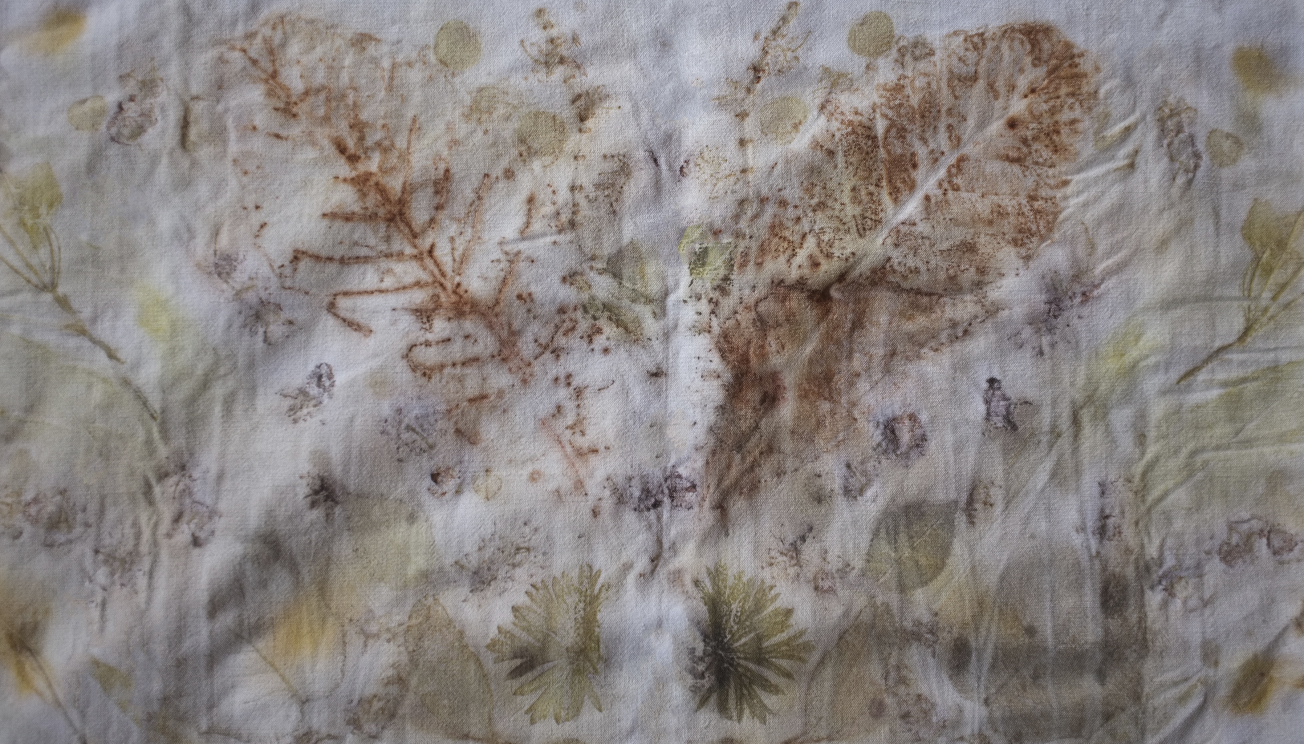 pleine conscience eco print alimentation.jpg