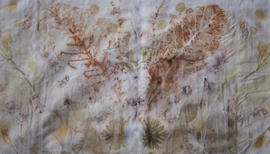 pleine conscience eco print alimentation.jpg