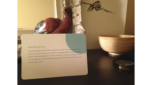 jan chosen bays mindful eating manger en pleine conscience meditation