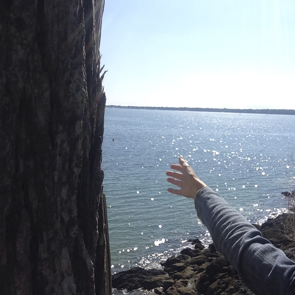 meditation pelien conscience mindful eating gr34