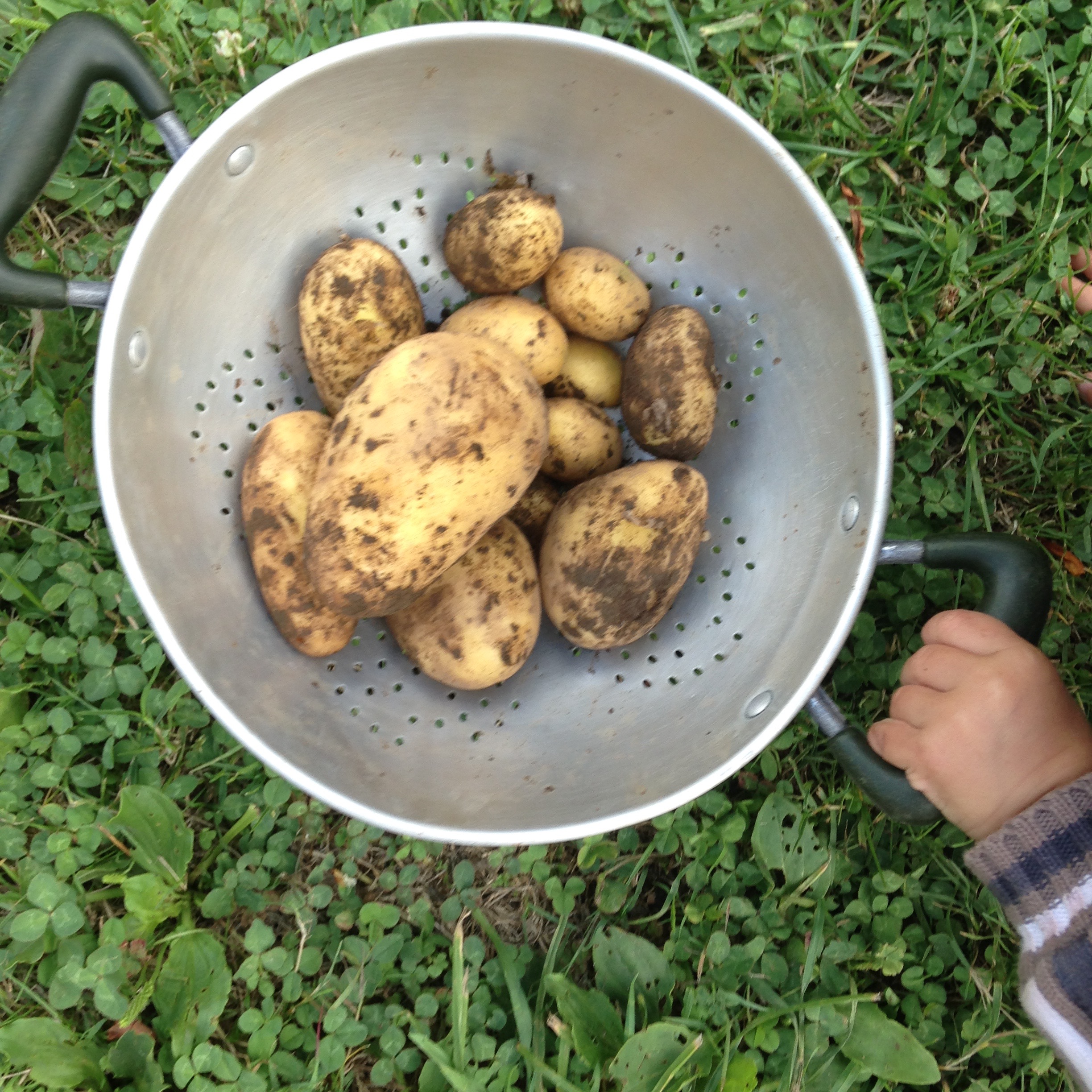 meditation-de-pleine conscience-mindful-eating.jpg